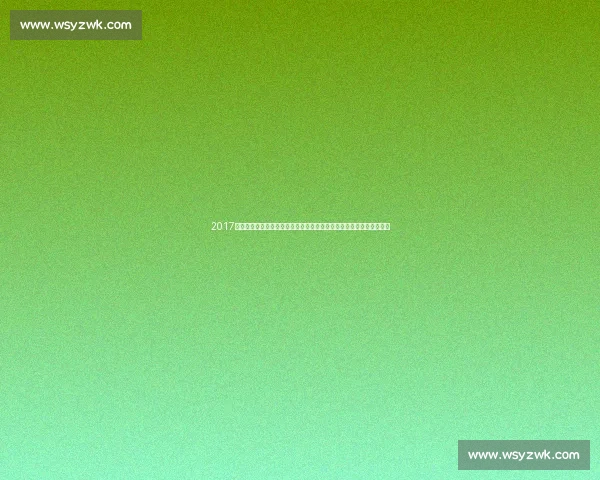 2017斯坦科维奇杯中国队对阵埃及队的关键之战回顾全场表现与技战术分析